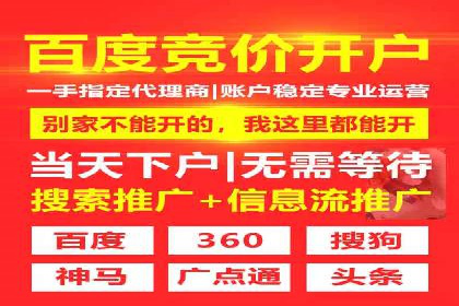 百度SEO推广公司经典之作：打造行业领先品牌